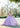 How To Include Cultural Traditions in Your Quince Dress Choice