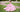 How To Choose the Perfect Quinceañera Silhouette