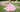 How To Choose the Perfect Quinceañera Silhouette