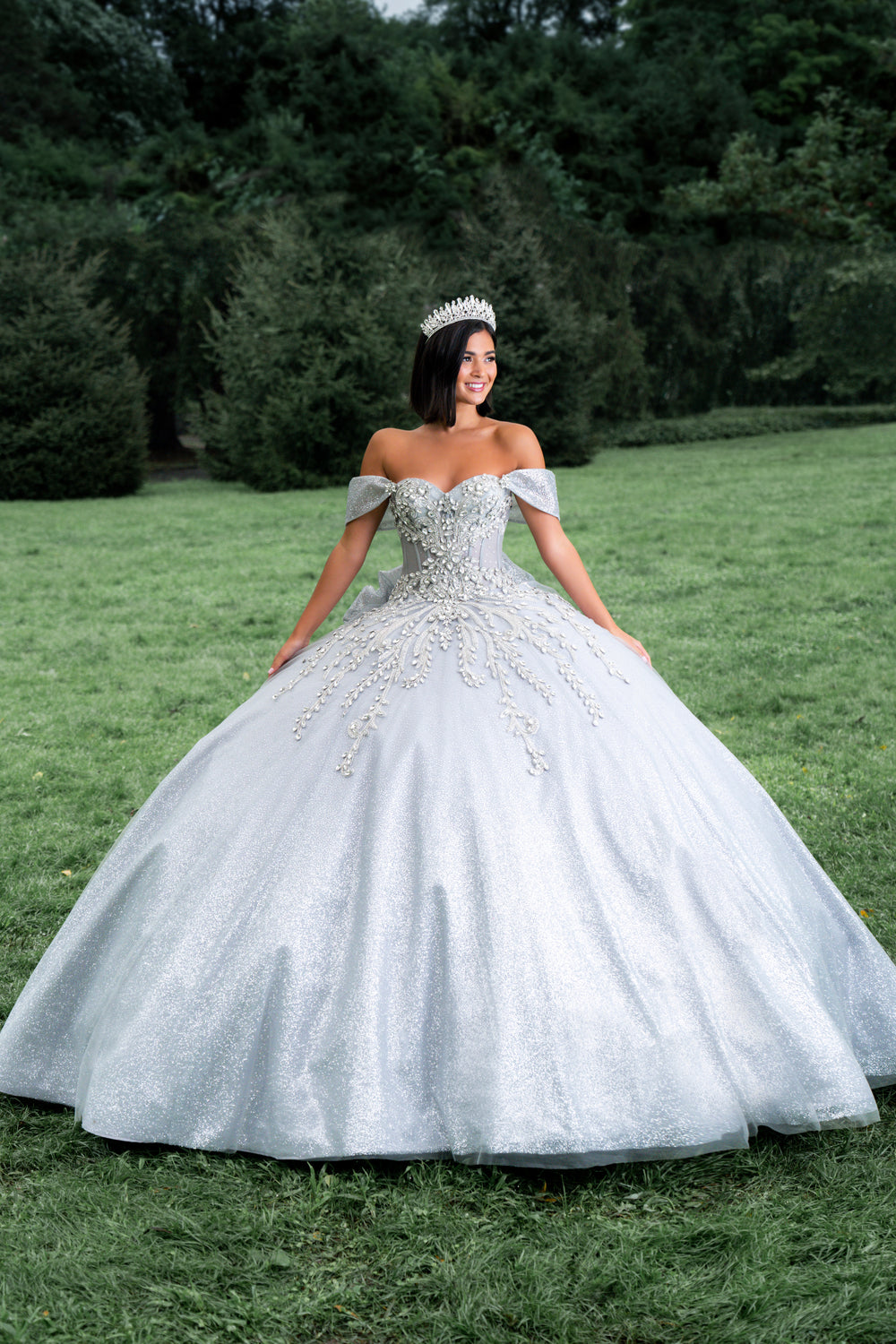 Quinceanera dresses silver hotsell